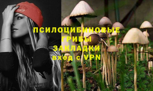 гашик Алзамай