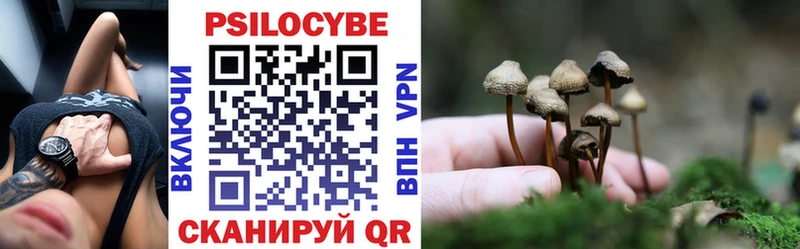 Псилоцибиновые грибы GOLDEN TEACHER  Шебекино 