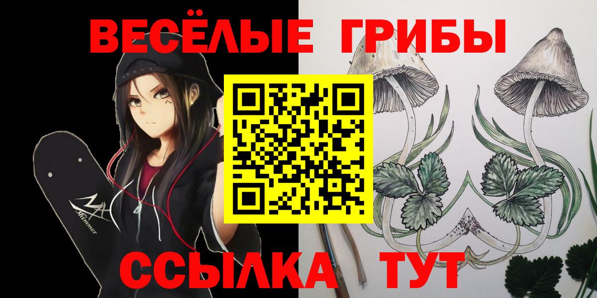 Галлюциногенные грибы Cubensis  Вход с VPN  Шебекино  Галлюциногенные грибы Psilocybe 