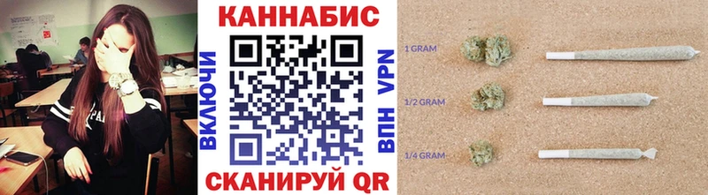 Конопля индика  Шебекино 